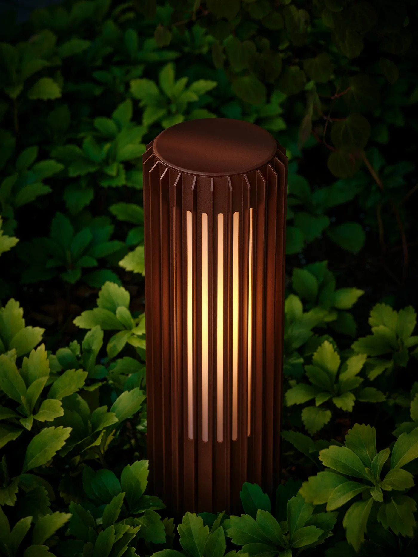 LIGHT FITTING