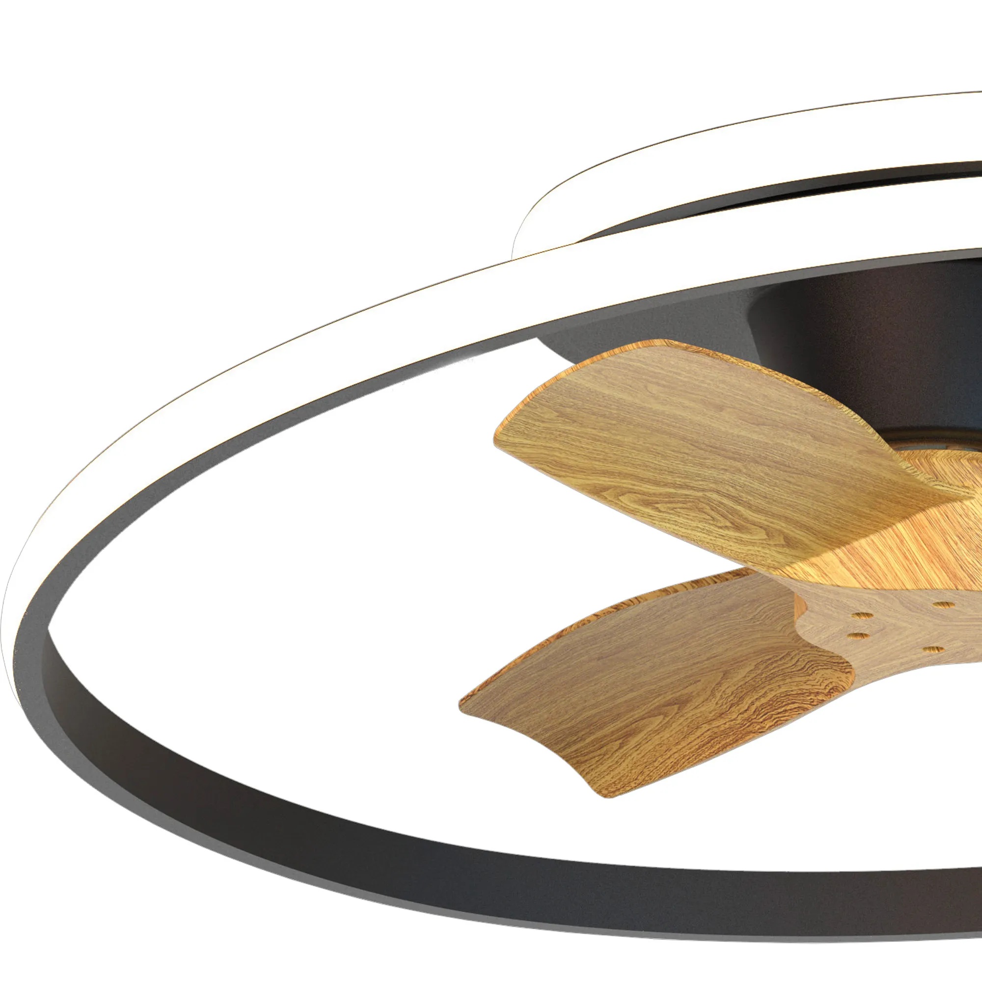 CEILING FAN & LIGHT