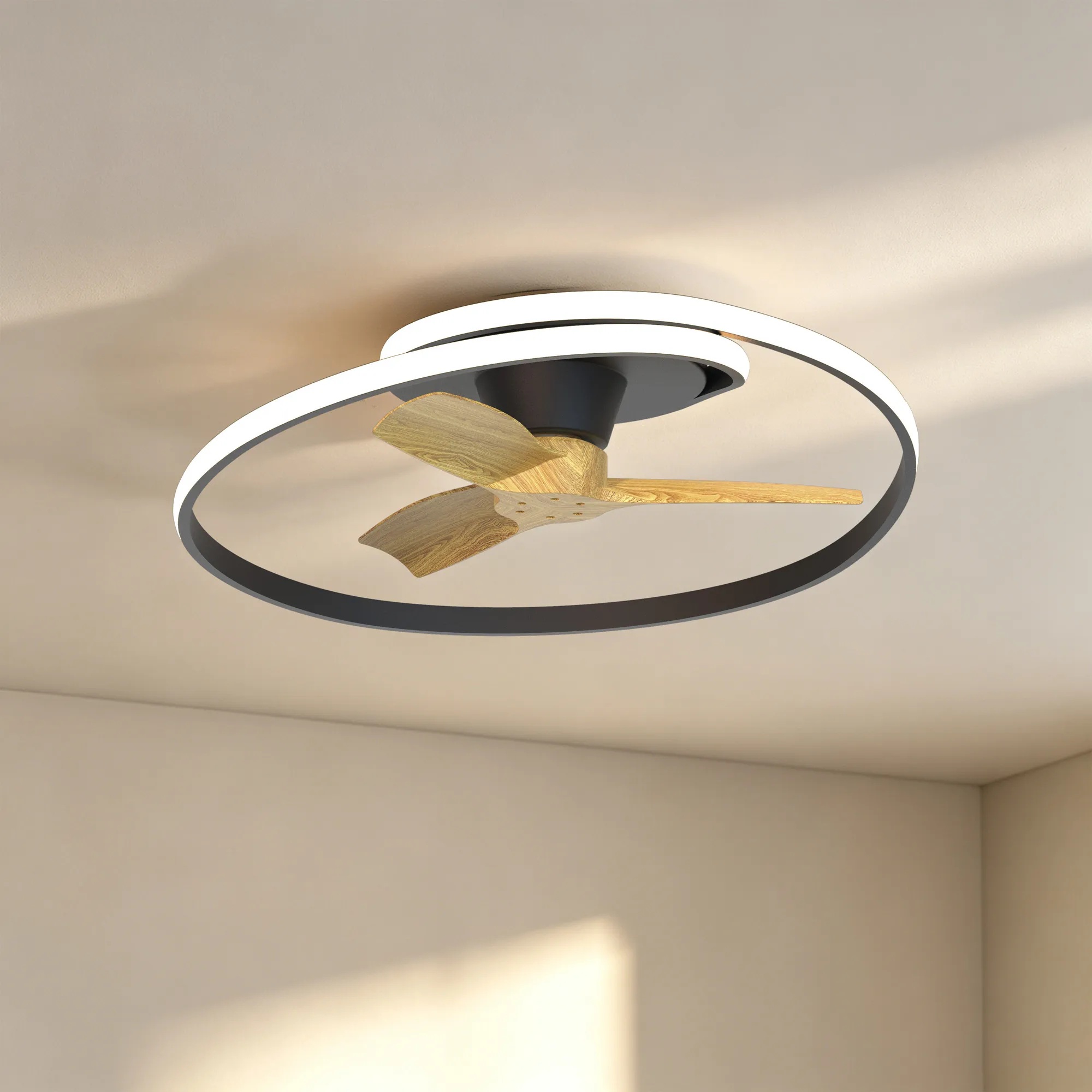 CEILING FAN & LIGHT