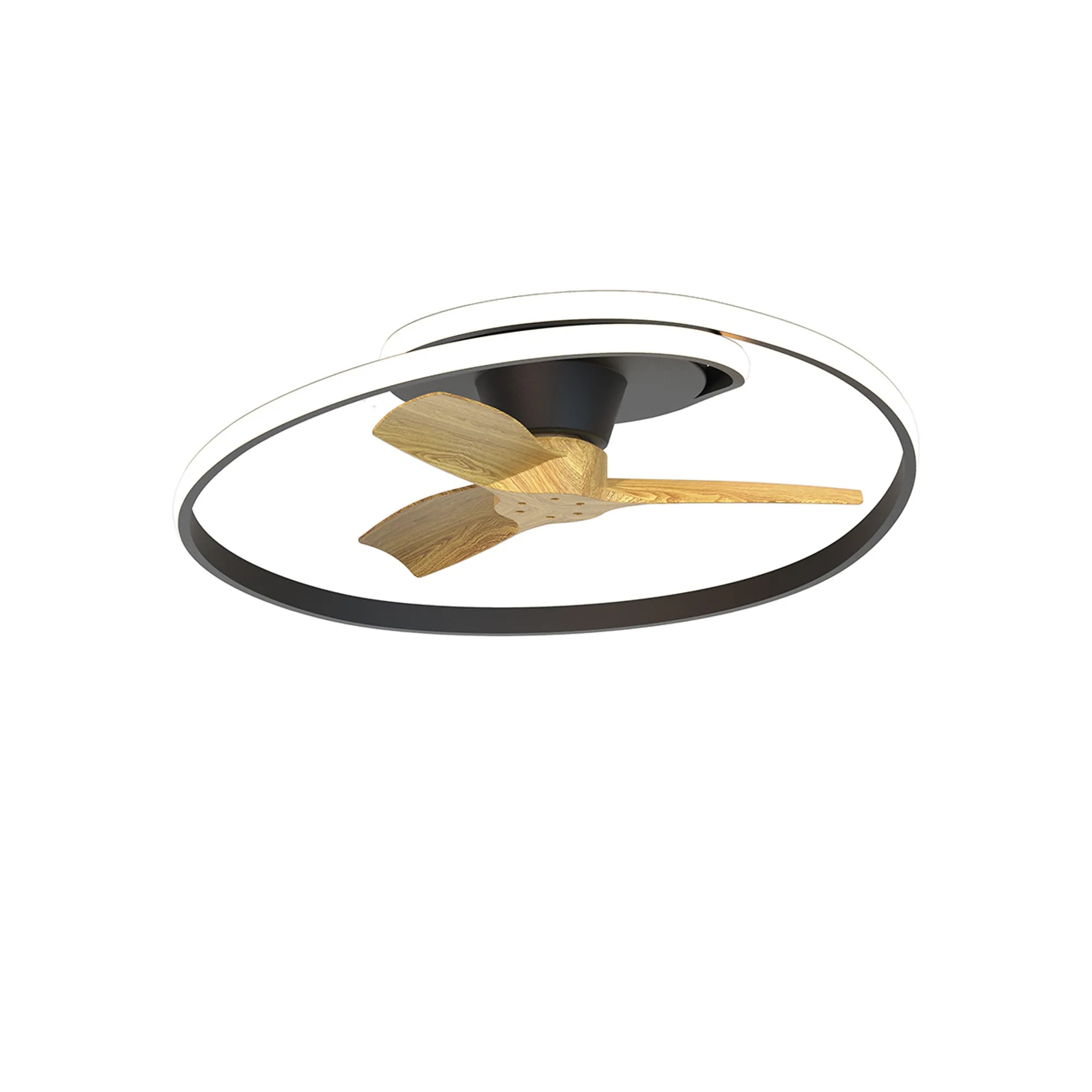 CEILING FAN & LIGHT